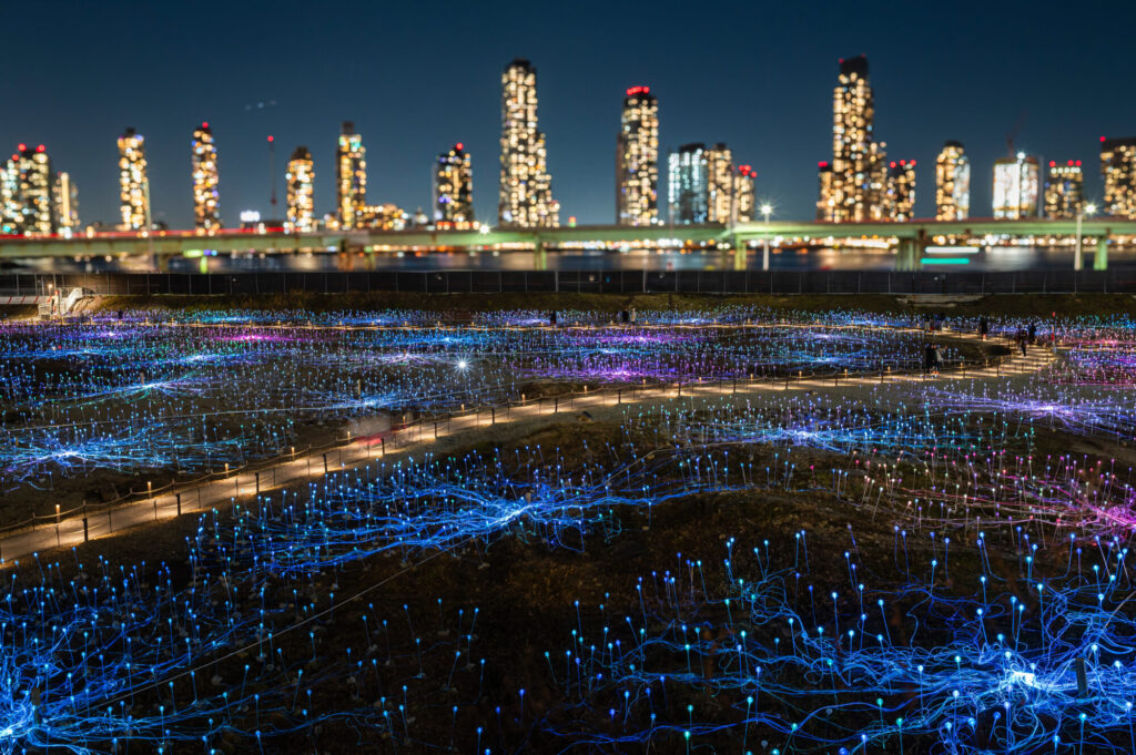 Best Art Event Field of Light at Freedom Plaza behind the scenes