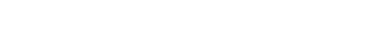 The Soloviev Foundation
